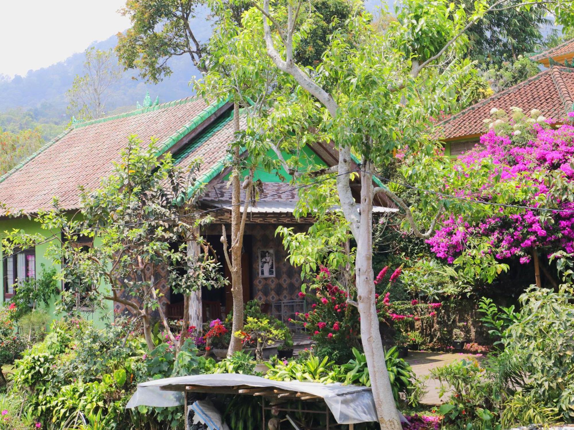 Dajan Buyan Homestay Bedugul  Ngoại thất bức ảnh