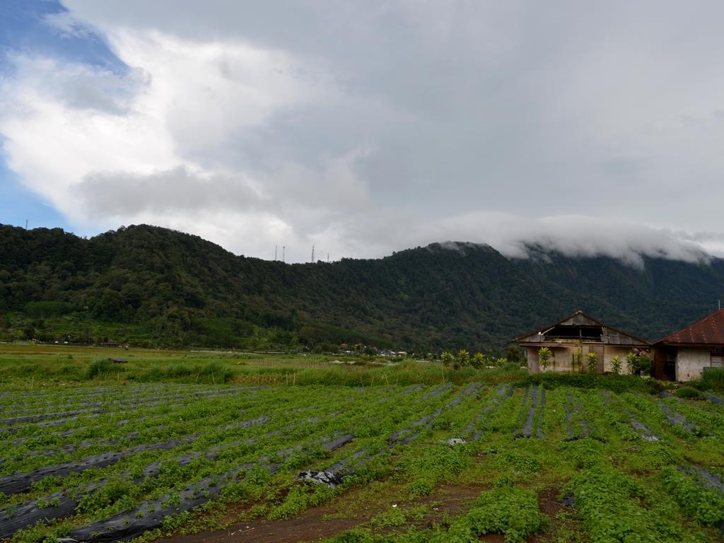 Dajan Buyan Homestay Bedugul  Ngoại thất bức ảnh
